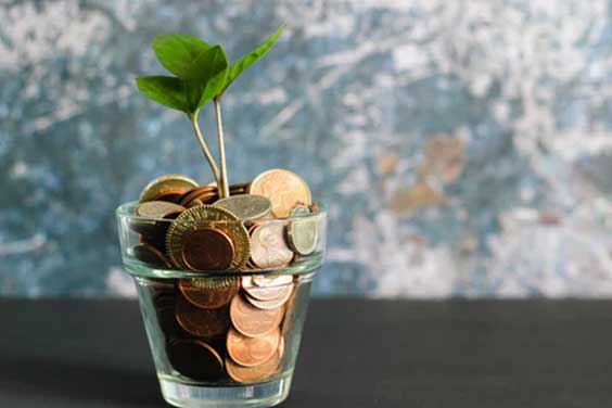 Coins placed in a glass together with a plant
